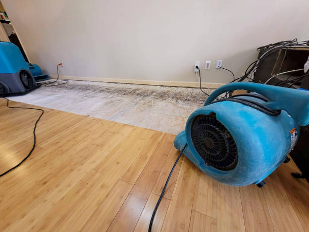 Professional Basement Flood Cleanup technician working in Waynesville, MO